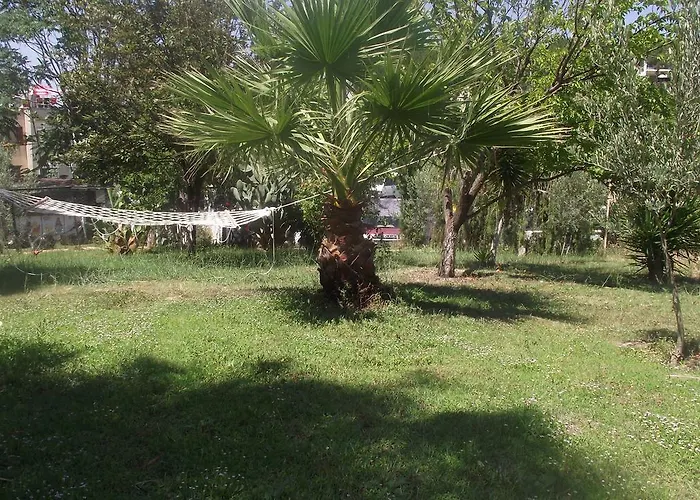 Appart hôtel Gold 3*